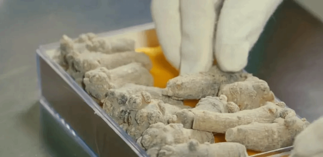 九游·会(J9.com)集团官网 - 真人游戏第一品牌[首页]