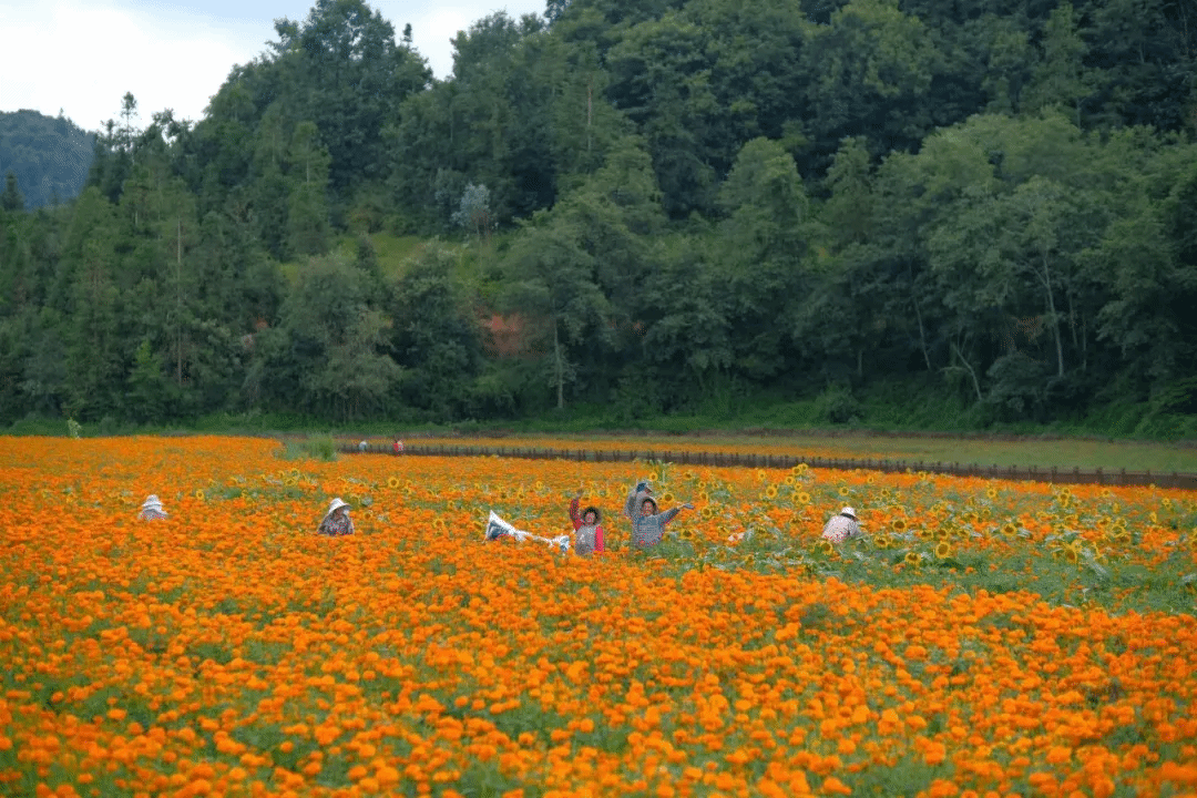 九游·会(J9.com)集团官网 - 真人游戏第一品牌[首页]