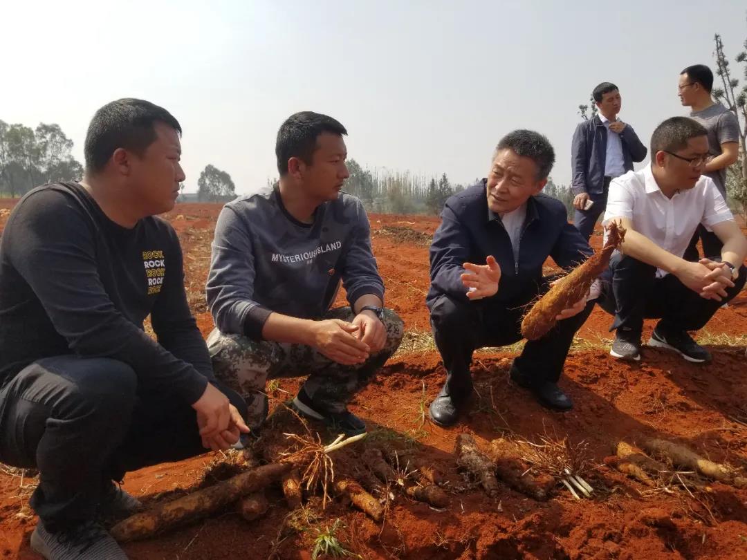 九游·会(J9.com)集团官网 - 真人游戏第一品牌[首页]